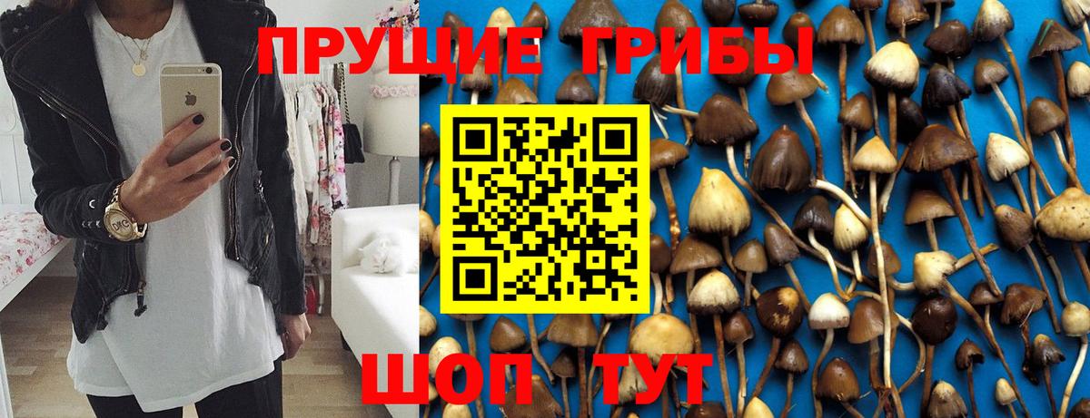 Калач-на-Дону  Галлюциногенные грибы Cubensis  Вход с VPN 