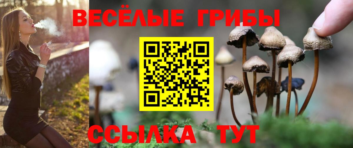 Псилоцибиновые грибы MAGIC MUSHROOMS Калач-на-Дону